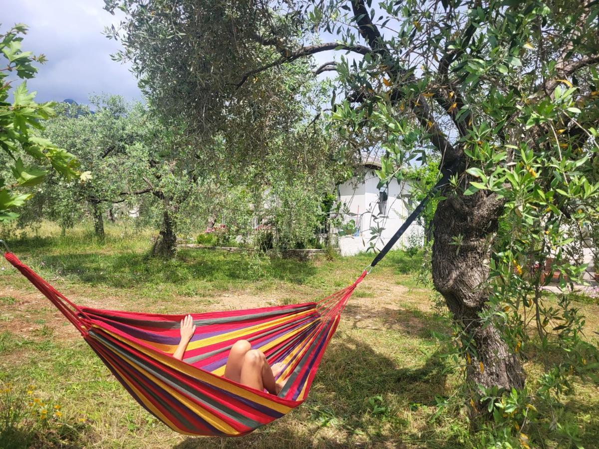 Ioannis Houses - Gemuetliches Ferienhaus Im Olivenhain Skala Potamia  Luaran gambar