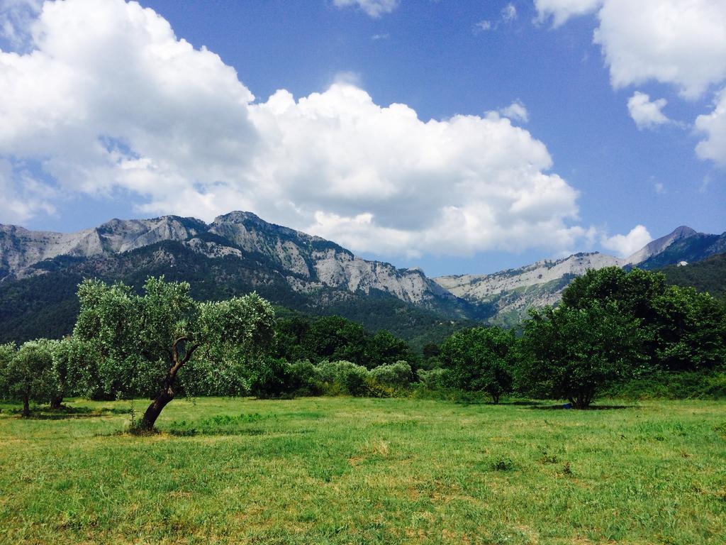 Ioannis Houses - Gemuetliches Ferienhaus Im Olivenhain Skala Potamia  Luaran gambar